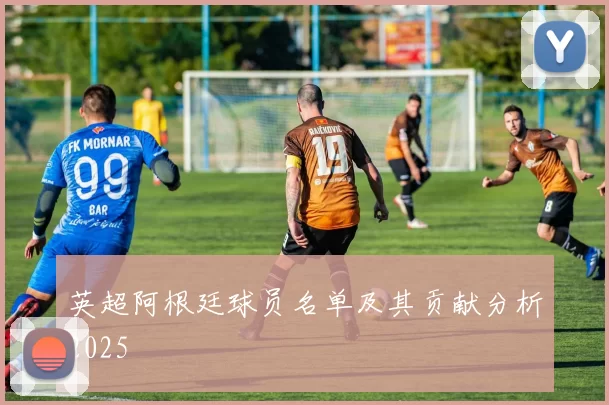 英超阿根廷球员名单及其贡献分析2025