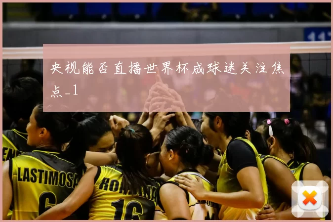 央视能否直播世界杯成球迷关注焦点_1