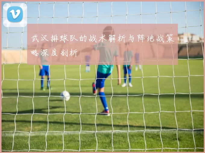 武汉排球队的战术解析与阵地战策略深度剖析