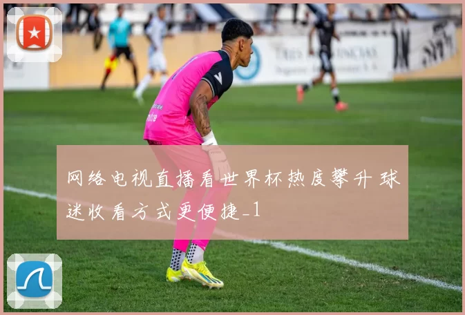 网络电视直播看世界杯热度攀升 球迷收看方式更便捷_1