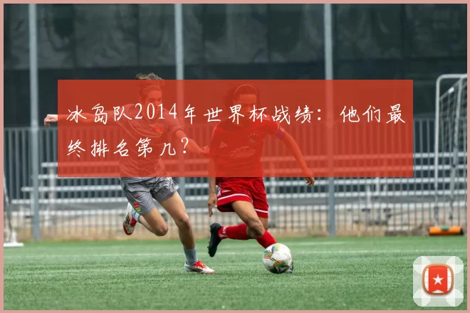 冰岛队2014年世界杯战绩:他们最终排名第几?