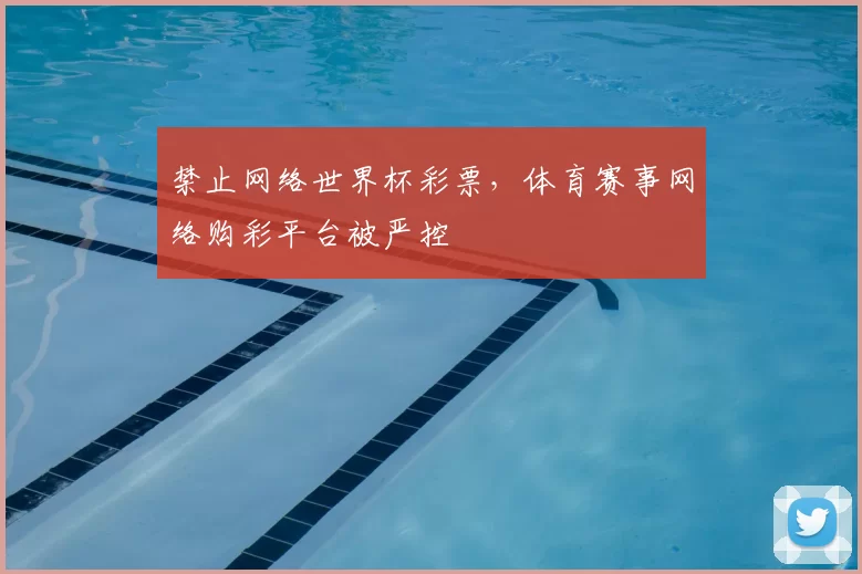 禁止网络世界杯彩票,体育赛事网络购彩平台被严控