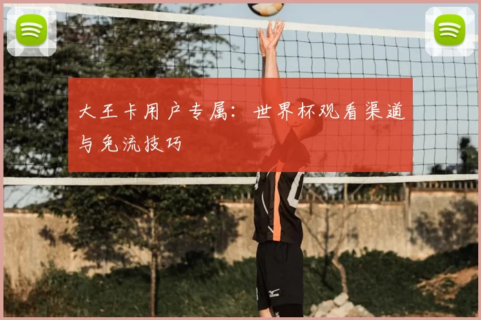 大王卡用户专属：世界杯观看渠道与免流技巧