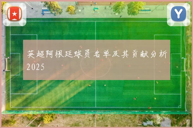 英超阿根廷球员名单及其贡献分析2025