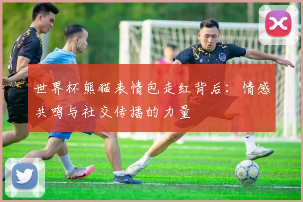 世界杯熊猫表情包走红背后：情感共鸣与社交传播的力量