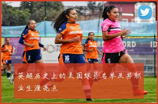 英超历史上的美国球员名单及其职业生涯亮点