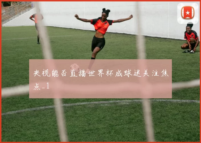 央视能否直播世界杯成球迷关注焦点_1