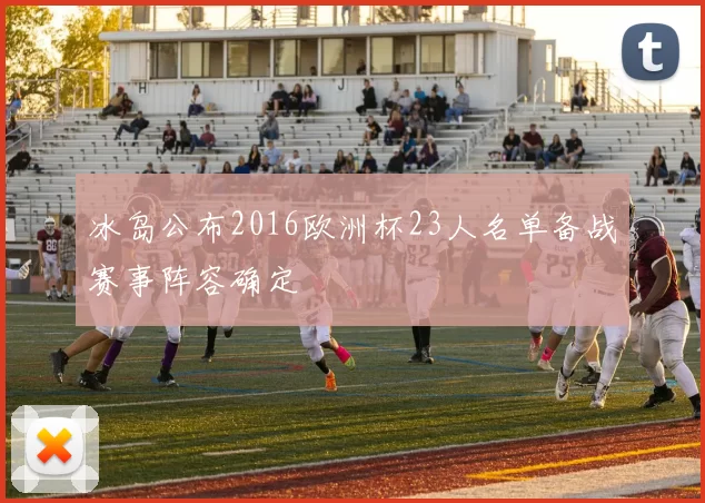 冰岛公布2016欧洲杯23人名单备战赛事阵容确定