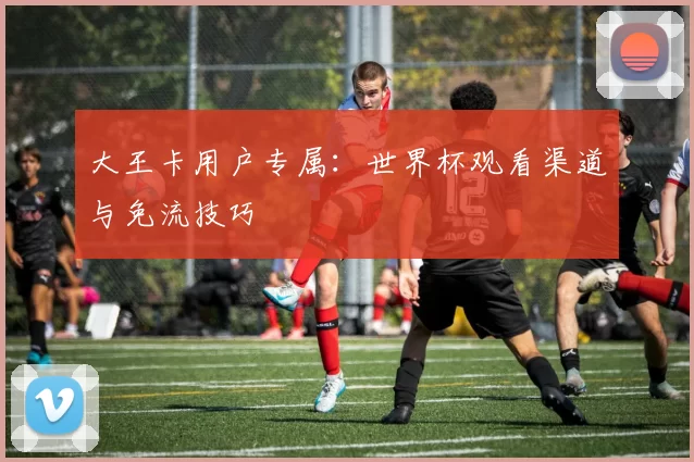 大王卡用户专属：世界杯观看渠道与免流技巧