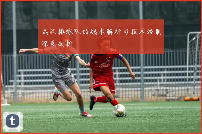 武汉排球队的战术解析与技术控制深度剖析