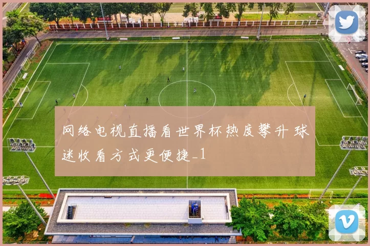 网络电视直播看世界杯热度攀升 球迷收看方式更便捷_1
