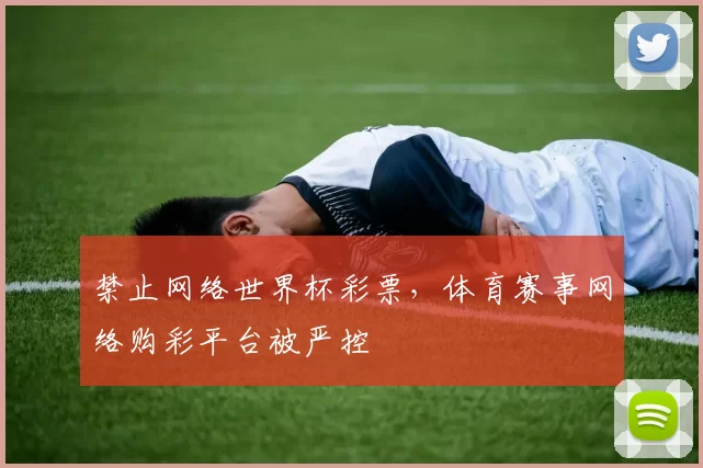 禁止网络世界杯彩票，体育赛事网络购彩平台被严控
