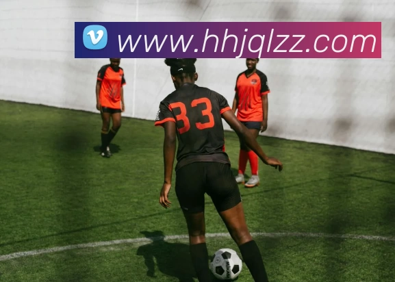 尊龙凯时APP 封面图